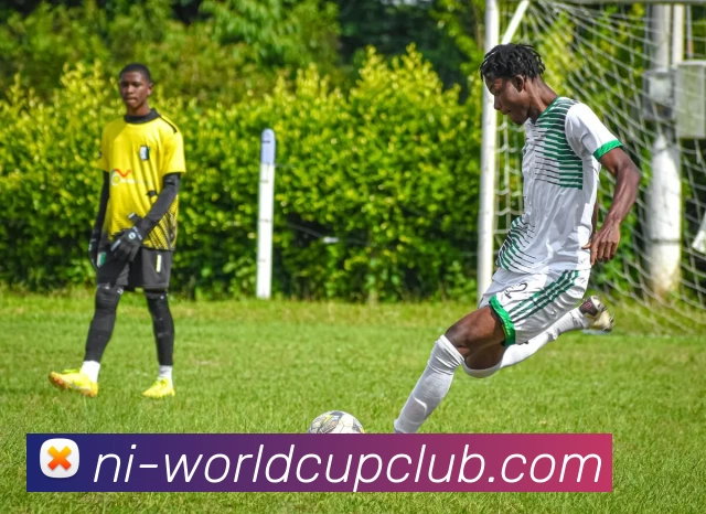 世俱杯投注官网平台生态图